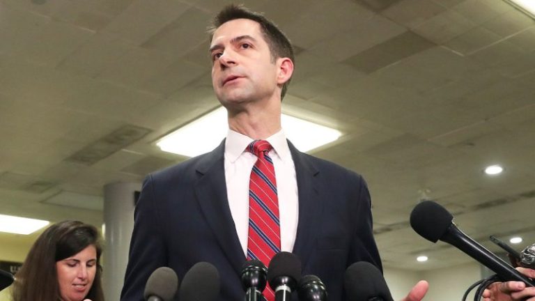 Cotton says he supports McConnell as Senate leader: ‘To be the man, you got to beat the man’