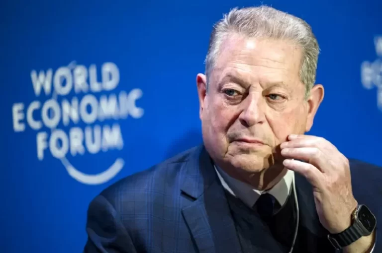 Al Gore says Inflation Reduction Act mainly climate change bill