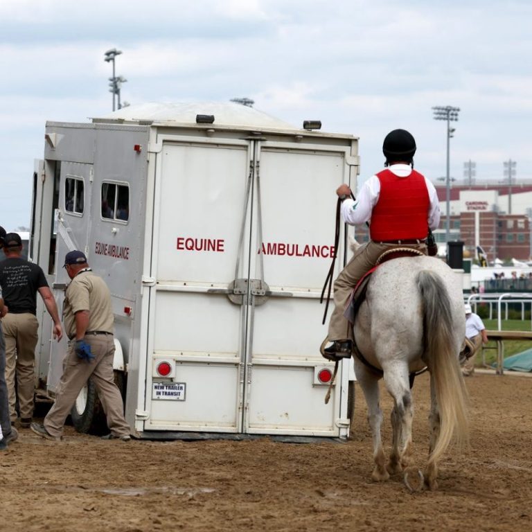 Troubling trend continues at Churchill Downs as another horse dies