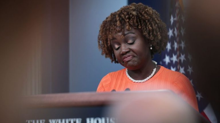 White House refuses to answer question on Hunter Biden’s Second Amendment defense plan: ‘I’m just not’