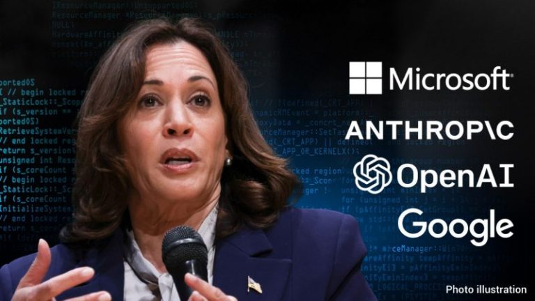 AI expert doubtful DC prepared for new tech: ‘Well, they put Kamala Harris in charge’