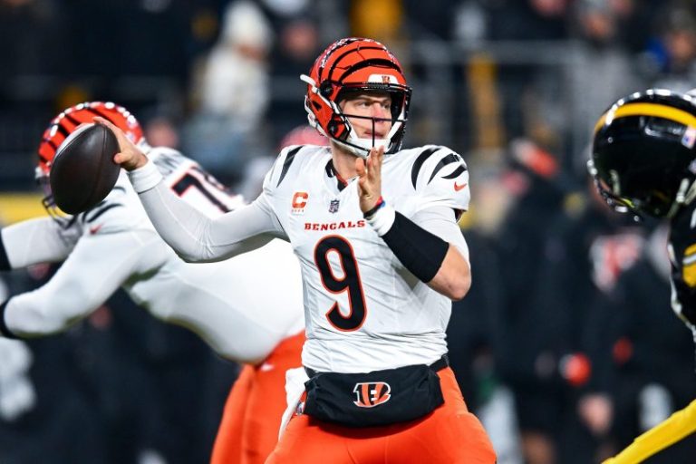 NFL playoff picture: Bengals win but need help, Ravens clinch AFC North
