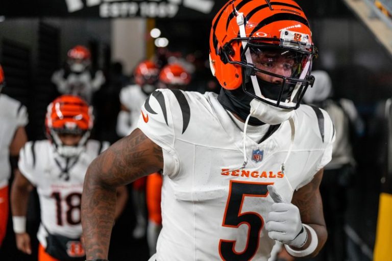 Tee Higgins injury update: Bengals WR leaves must-win game