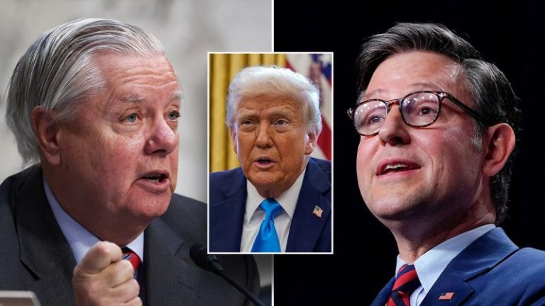 House, Senate Republicans clash over mammoth Trump budget bill seeking $1.5T in cuts