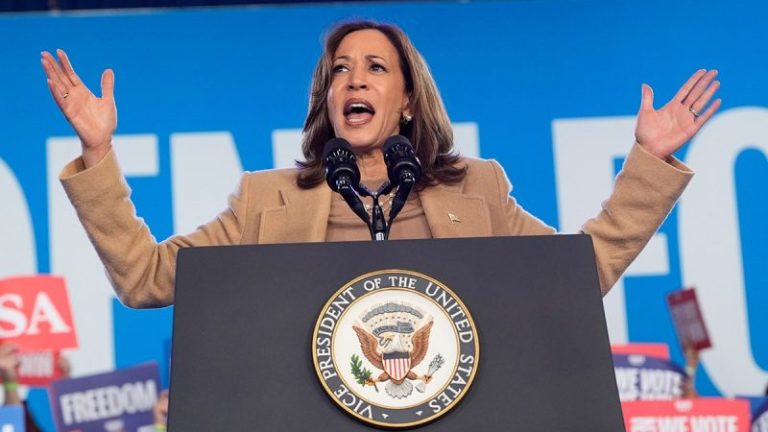 Harris launched ‘dark-arts operation’ against opponents for VP spot in 2020, new book claims